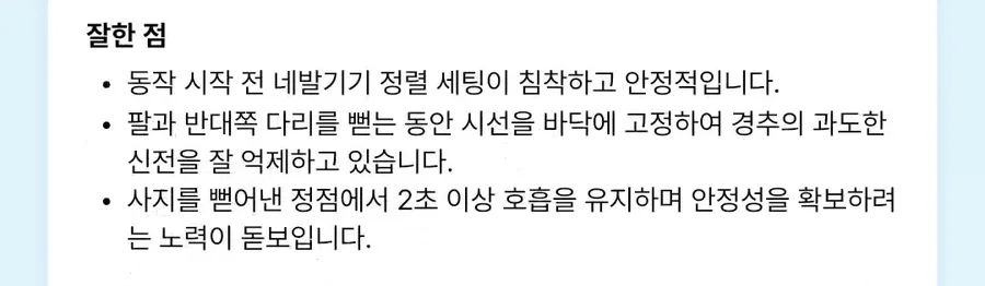 예시 화면 — 회원 화면의 같은 잘한 점: 동작 시작 전 네발기기 정렬 세팅이 침착하고 안정적입니다.