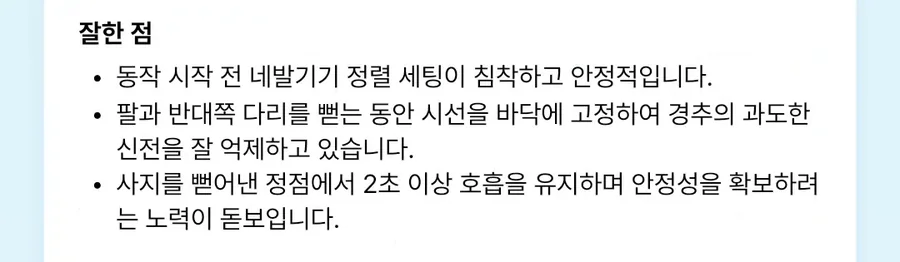 예시 화면 — 강사 화면의 운동 자세 분석 카드. 잘한 점: 동작 시작 전 네발기기 정렬 세팅이 침착하고 안정적입니다.